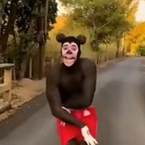 大老虎的双向联系机器人