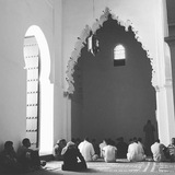 تواصل | قناة دلائل 📮