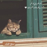 ⤶سَـمـّع قَـلــبـك⊁