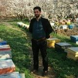 عسل مهربان/ پرداخت درب منزل