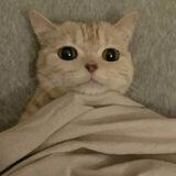 upload file