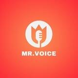 Mr. Voice - voice to text | speech to text