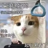ikunbot