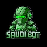 سعودي بوت ثغرات