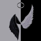 𝙰𝚂𝙴𝙴𝙻 ༻⁵ᵐ