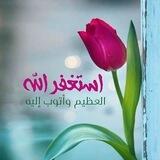 بوت تواصل