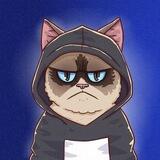 Grumpy Cat Bot