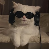 DailyList bot