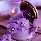 『ارجــۥ͢ــۥ͢ᭅۥــۥ͢وانـــيـة』💜↓²°²²