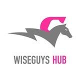 WiseGuYS
