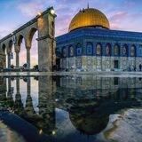 فلسطين الروح