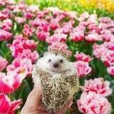تِصتِ‌شَخصیت‌شناسی🌸🌿•