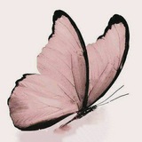 تواصل مجلد رُوْحْ❥ Soul