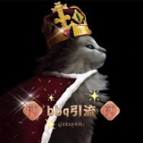 BBQ引流网🧑‍💻负责人