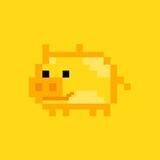 Flapig