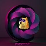 🎆🚀POLYDOGE AIRDROP🚀🎆