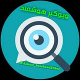 ویوگیر هوشمند