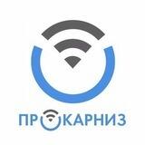 Электрокарнизы Прокарниз