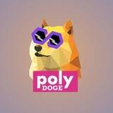 POLYDOGE AIRDROP V2 BOT