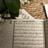 📨 | تَوَاصلٌ بَين الهُمامات.