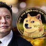 DogeCoin