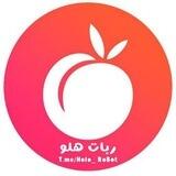 HOLO | هلو بات