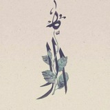 مجلد دعم الصنعاني