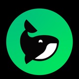 Traders Zone
