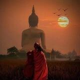 夕阳双向