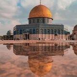 تواصل بوت وذكر للنشر التلقائي بالقنوات