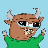 BulbBet