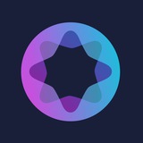 Wisdomise Insight bot