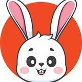 WhiteBunny | Game