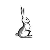 Rabbit VPN Bot