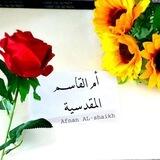 بوت تواصل مع إشراف مجموعة السفرة 🌹