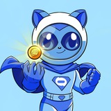SudoCat Chase