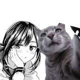 miaw miaw