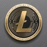 LTC PAID 👩‍💻