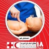 ربات امدادگر شو