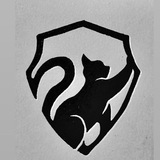 cat_vpn