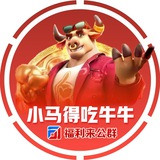 小马牛牛统计小助手