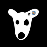 Dogs Airdrop 🎁