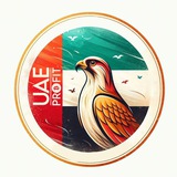 UAE Daily Profit 🦅