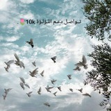 تــواصـل دعـم اللـؤلـؤة 🌷.