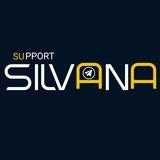 Support Silvana Team 🦋
