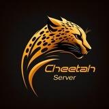 Cheetahbot