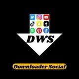 DWS Downloader Social