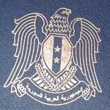 رشق التلجرام 🇸🇾