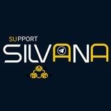 تمويل و رشق 「سيلفانا Selvana」