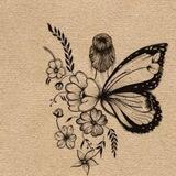 تواصل ليستات 🦋
